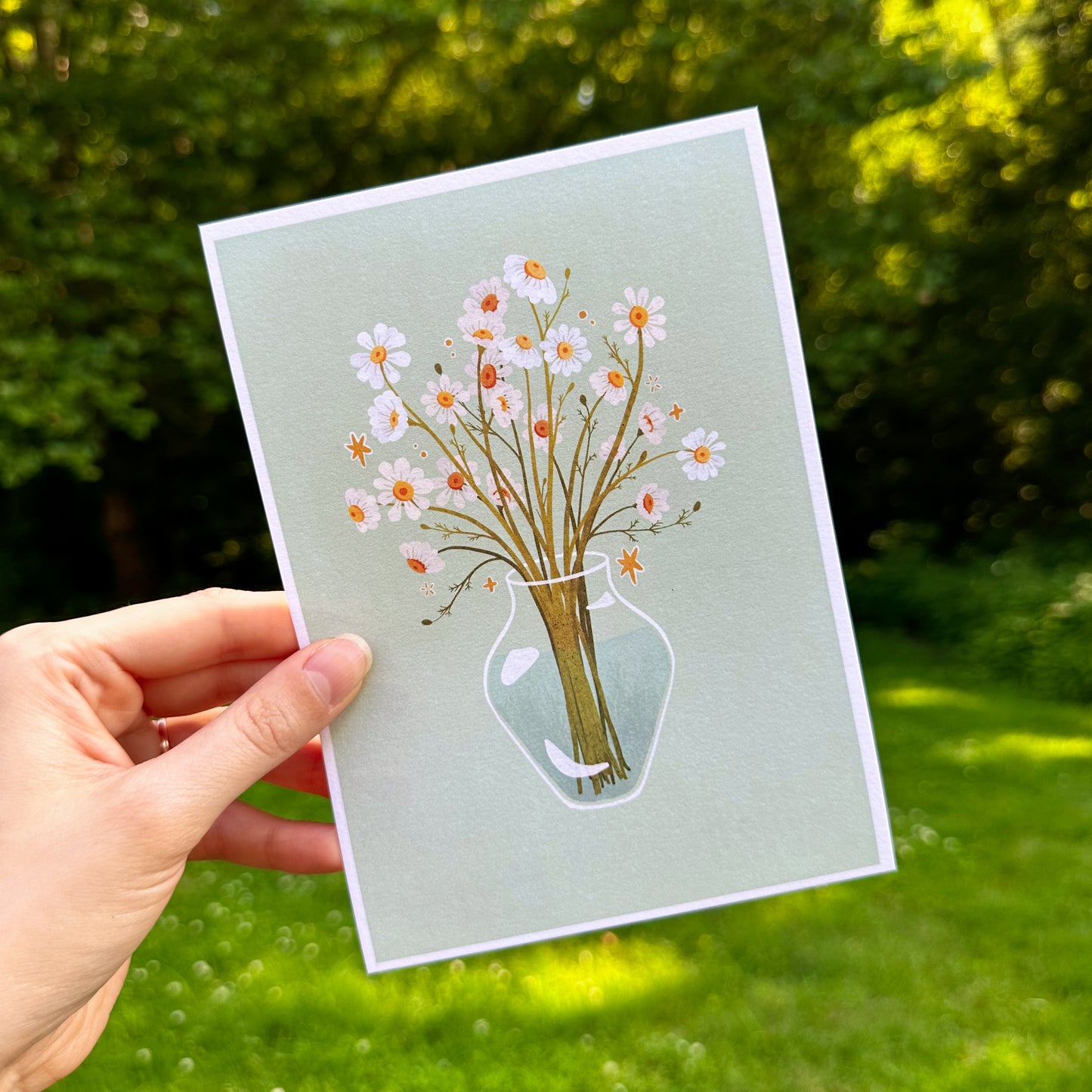 Chamomile Bouquet (5x7)